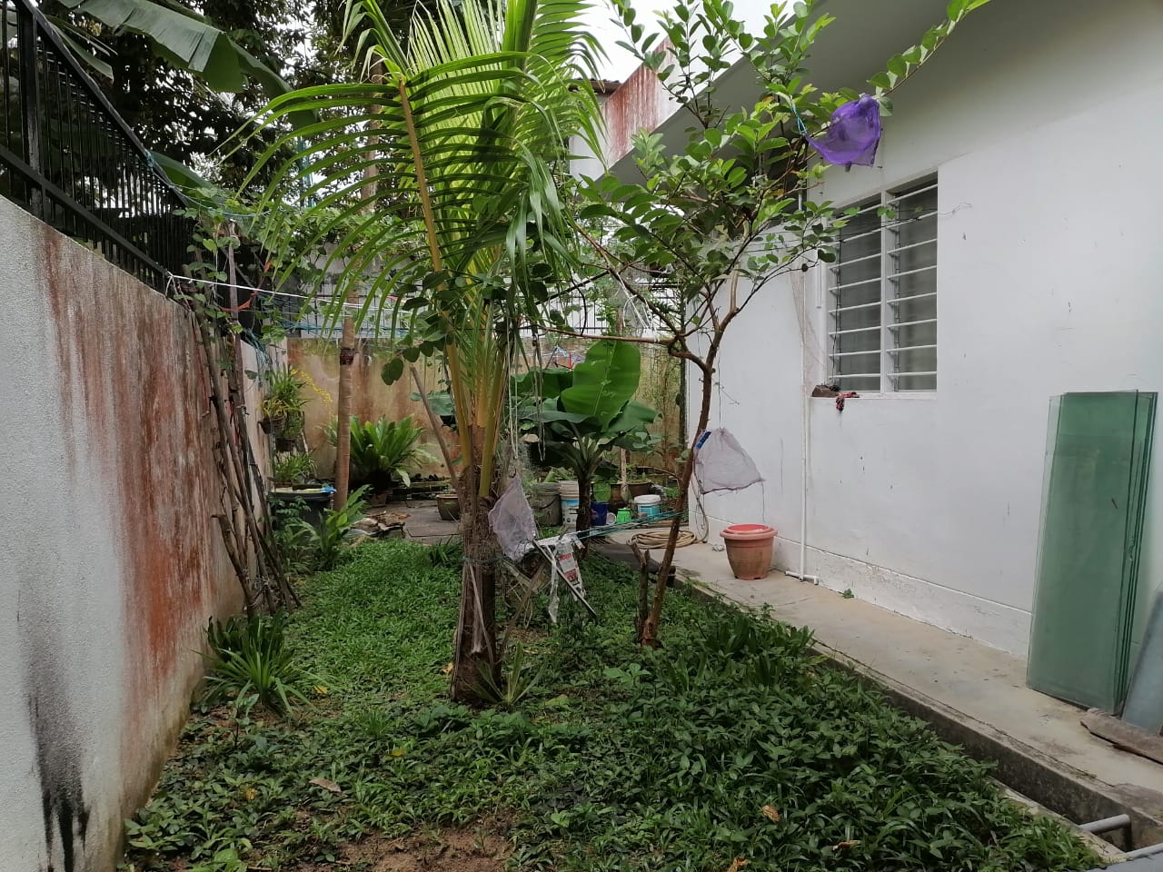 Lengkok Pemancar Semi D, Gelugor - photo 11