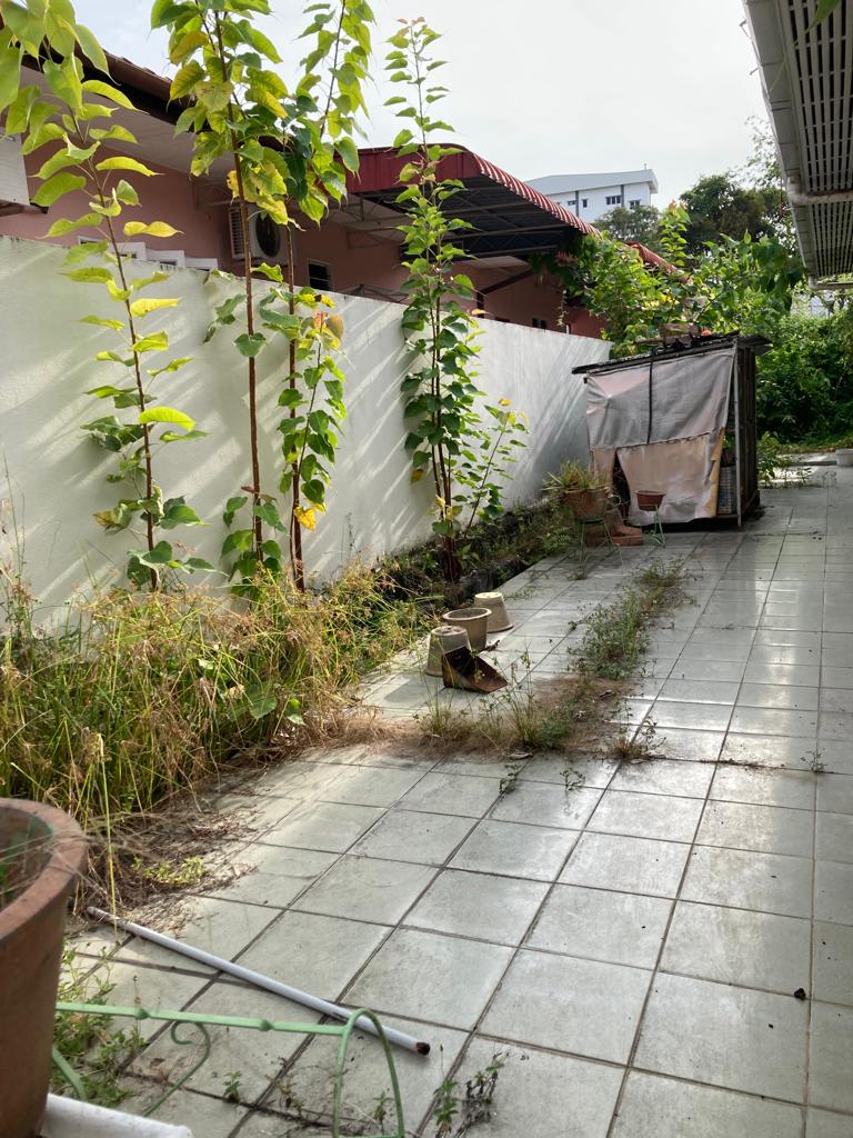 Batu Lanchang Semi D Single Storey - photo 5