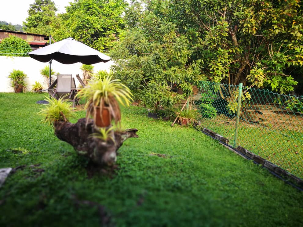 Jalan Mas Semi D - photo 6