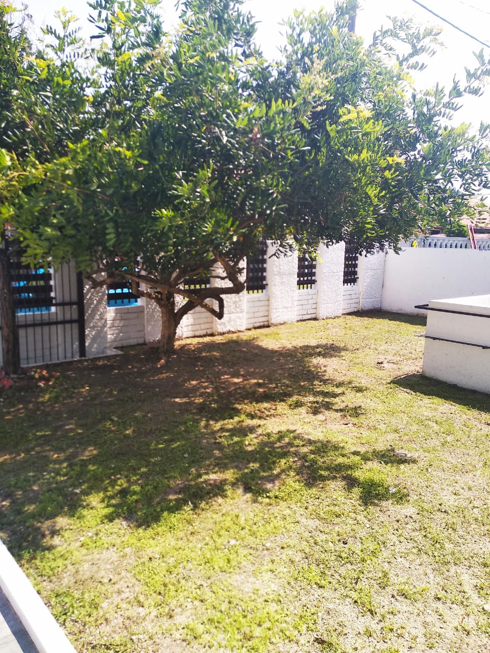 Taman Cheeseman - photo 8