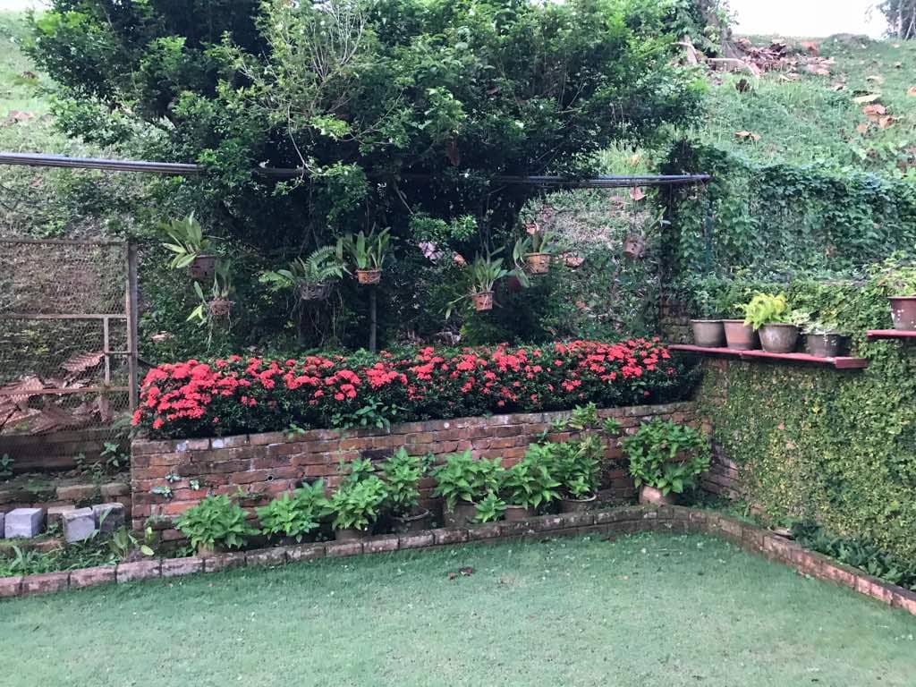 Cangkat Minden Jalan, Terrace Back Garden - photo 9