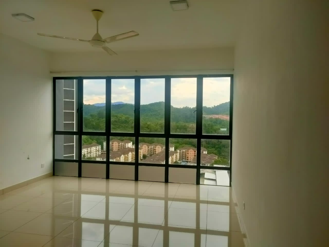 Oasis 2 - photo 2