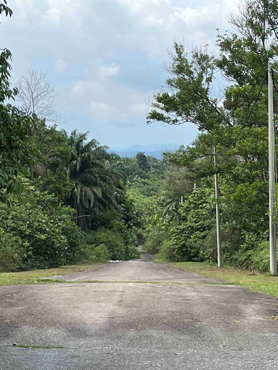 4 Bungalow lot Bukit Beruntung Golf Resort b Emily - photo 3