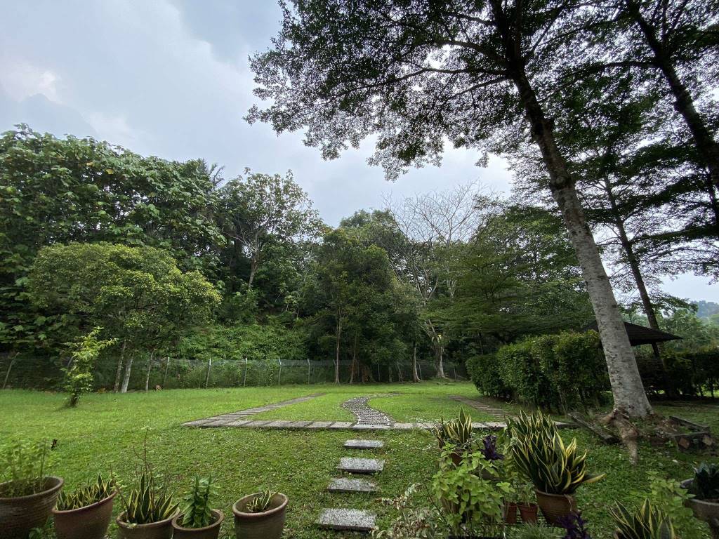 Jln Ubin House Bkt Jelutong by Emily - photo 8