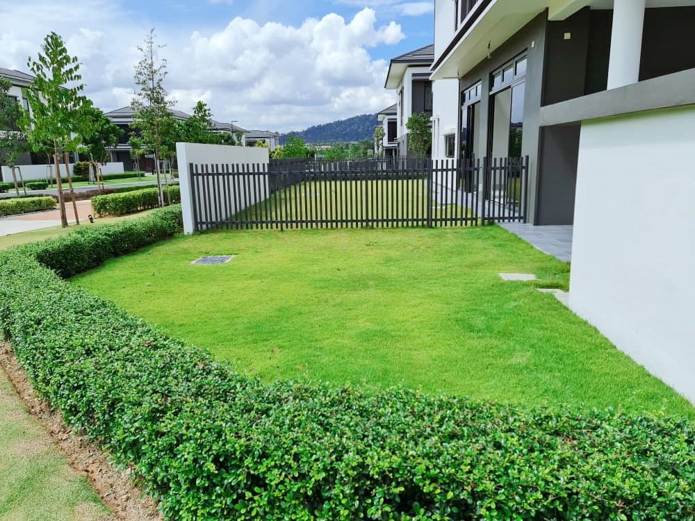 6044 Corner Semi D Dremien 34x80 Eco Ardence b Jo - photo 3