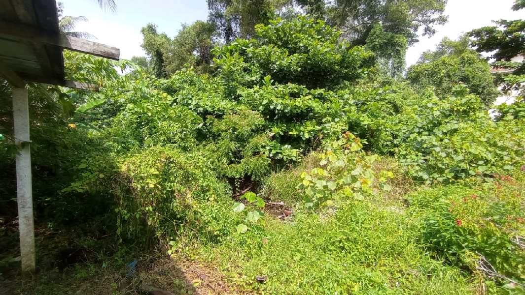 Lot Banglo Kampung Selamat Kuantan - photo 3