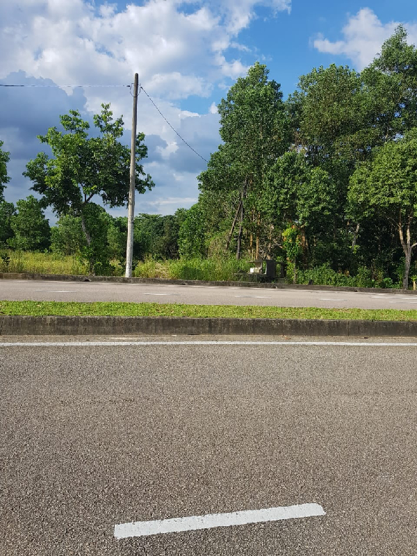 (OPEN TITLE, OPEN STATUS) Tanah Kg Pulau Danga, Mukim Pulai Johor Bharu - photo 1