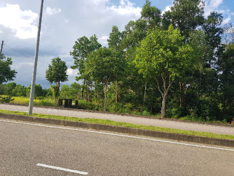 (OPEN TITLE, OPEN STATUS) Tanah Kg Pulau Danga, Mukim Pulai Johor Bharu - photo 2