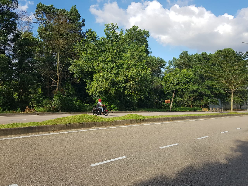 (OPEN TITLE, OPEN STATUS) Tanah Kg Pulau Danga, Mukim Pulai Johor Bharu - photo 4