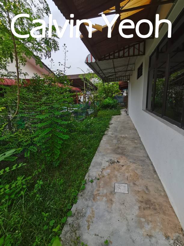 SSB-KENARI-SUNGAI ARA - photo 2