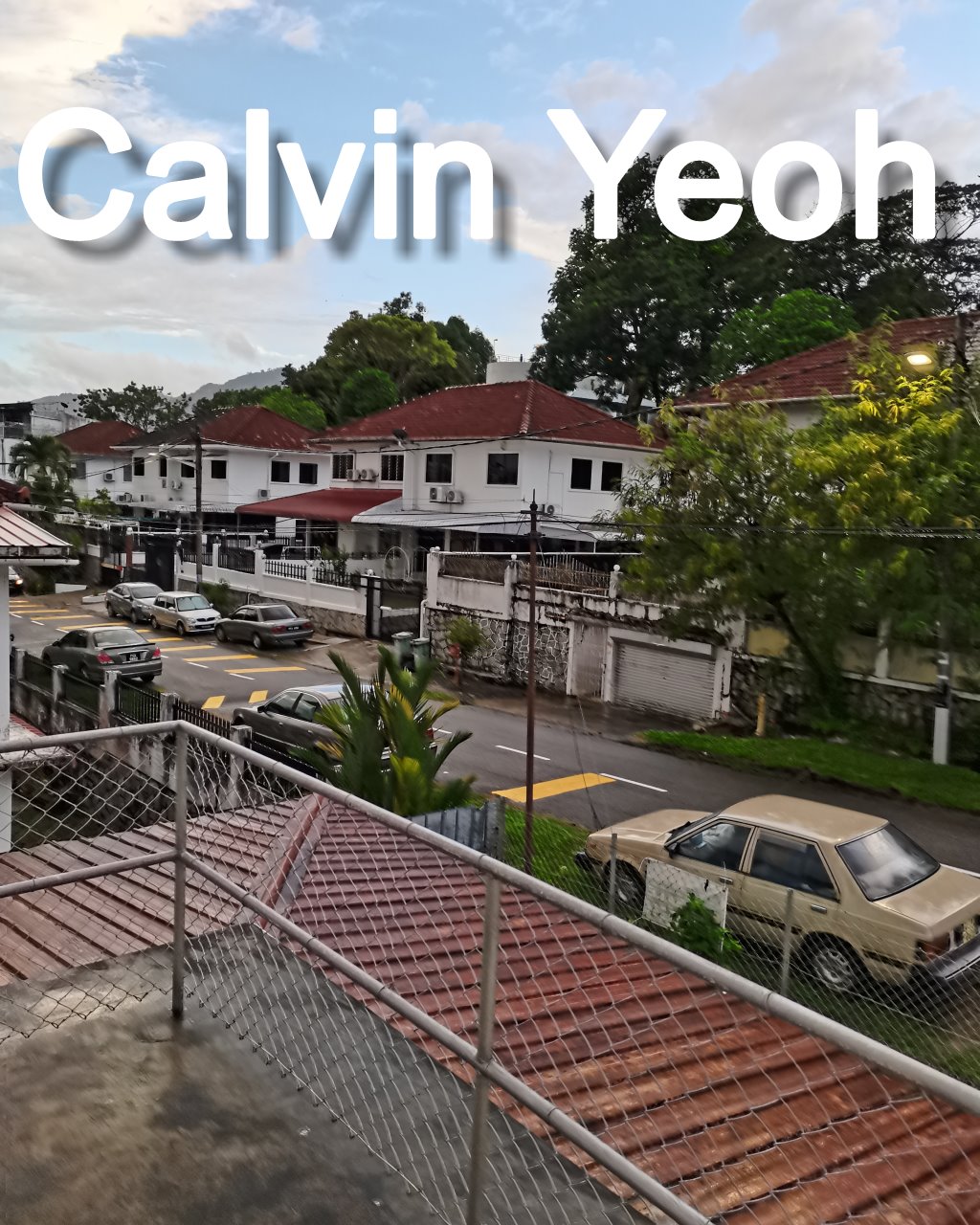Reservoir Garden , Air Itam - photo 8