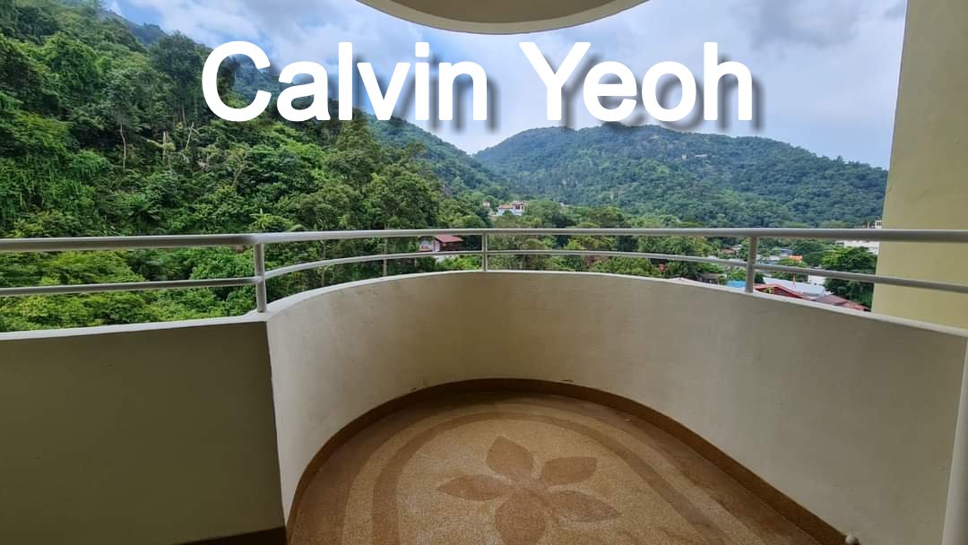 PENHILL PERDANA , AYER ITAM - photo 6