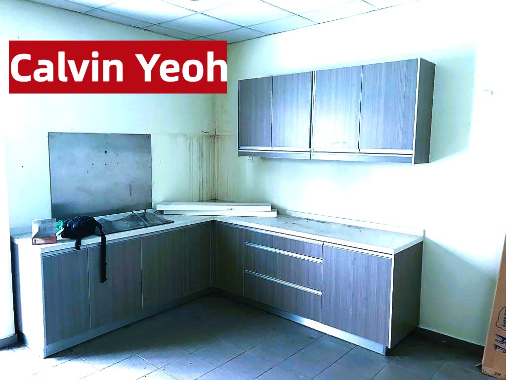 DST , RELAU - photo 3