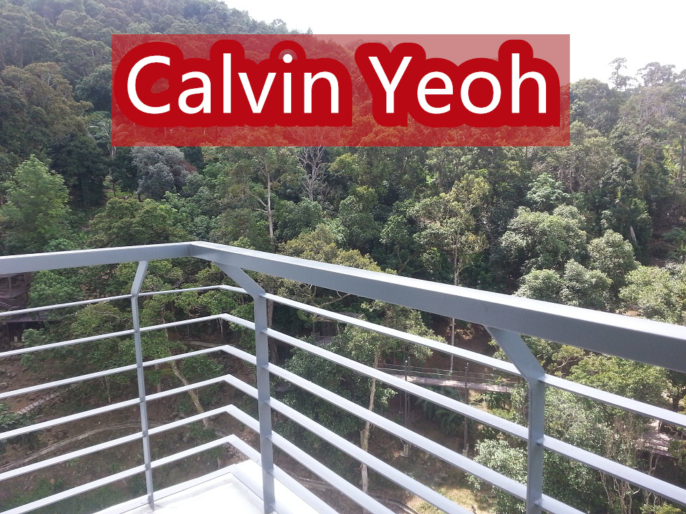 ORCHARD VILLE , SUNGAI ARA - photo 6