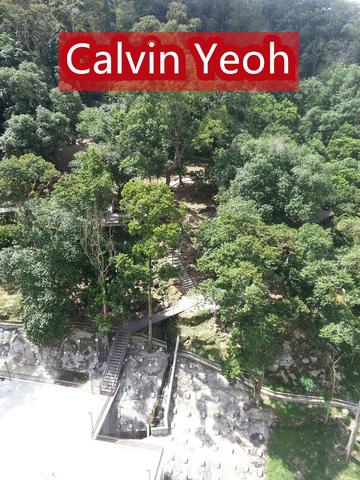 ORCHARD VILLE , SUNGAI ARA - photo 7