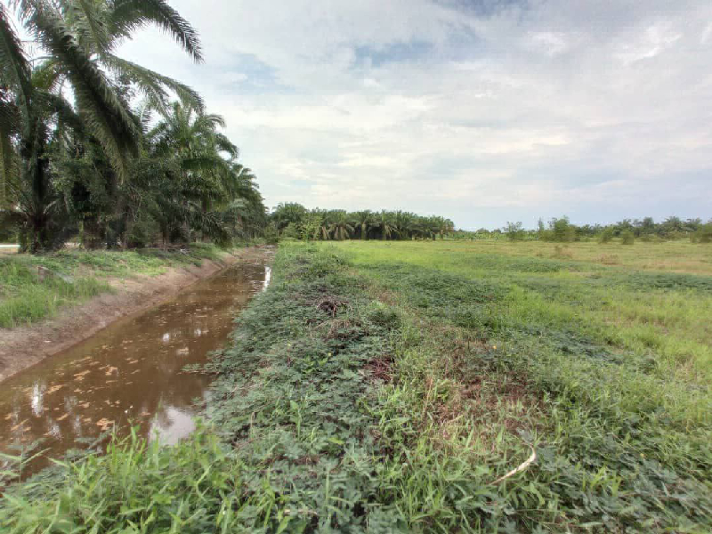 Tanah 3 Ekar Kuala Selangor  - photo 5