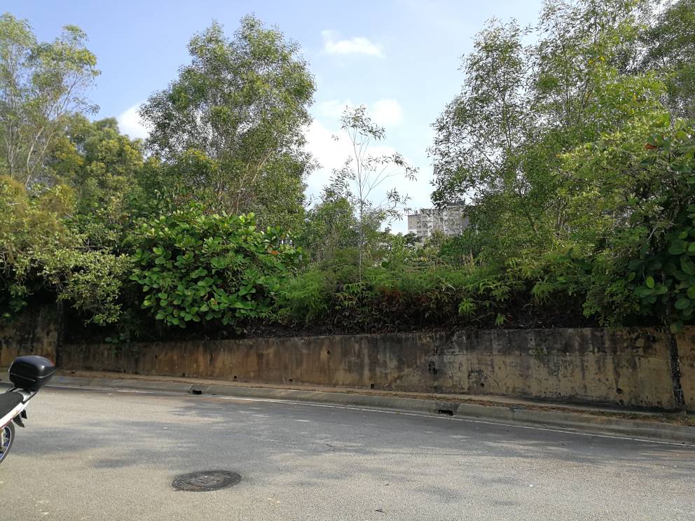 LAND FOR SELL BUNGALOW LOT BUKIT JALIL - photo 3