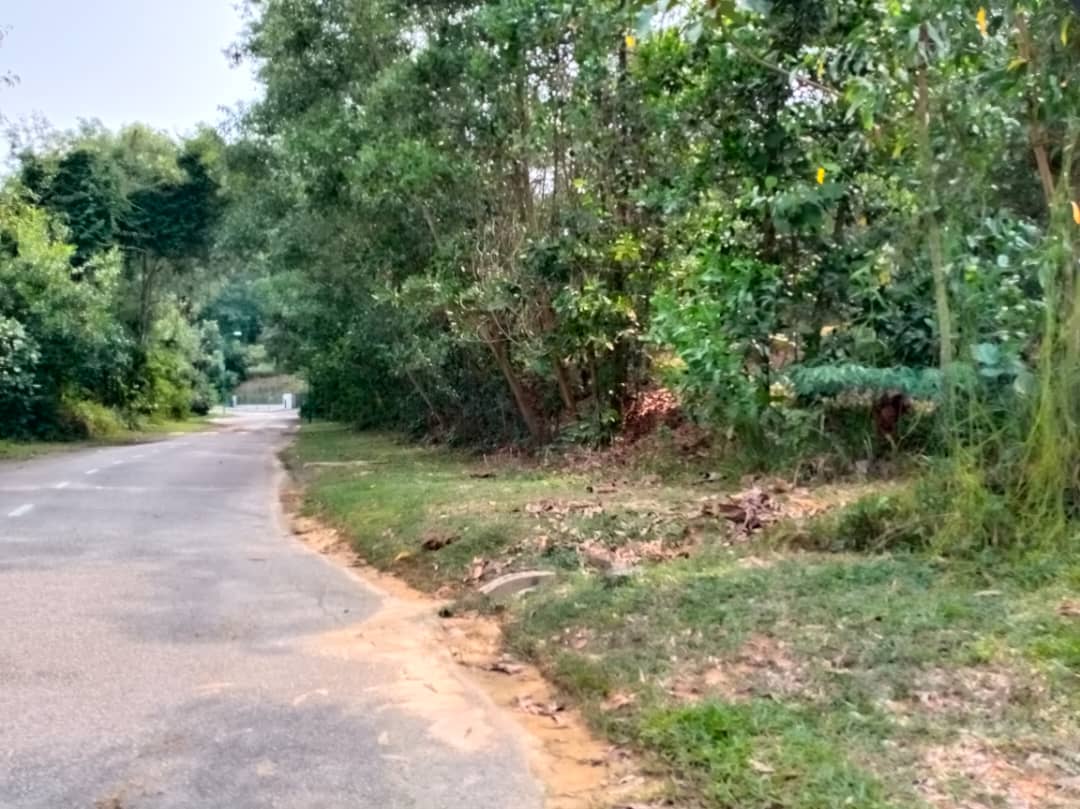 LAND FOR SELL, BUNGALOW LOT KAYANGAN HEIGHT - photo 2