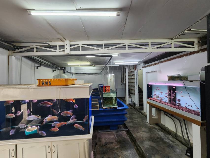 Kampung Cheras Baru - photo 5