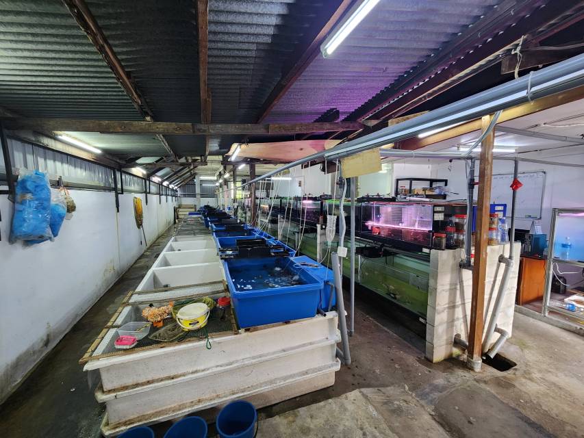 Kampung Cheras Baru - photo 6