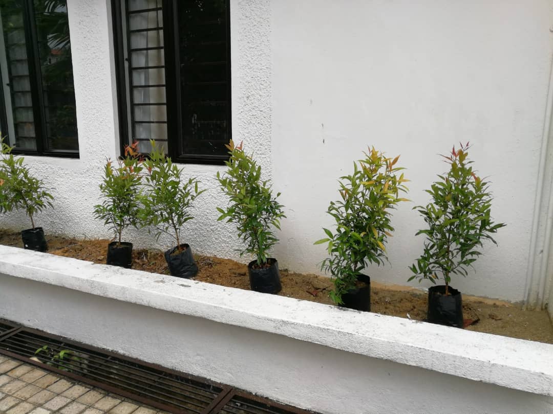 Double Storey Bungalow Damansara Height - photo 10