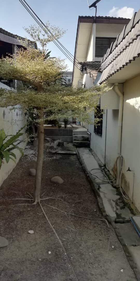 Single Storey House Lorong Pikrama 3 - photo 6