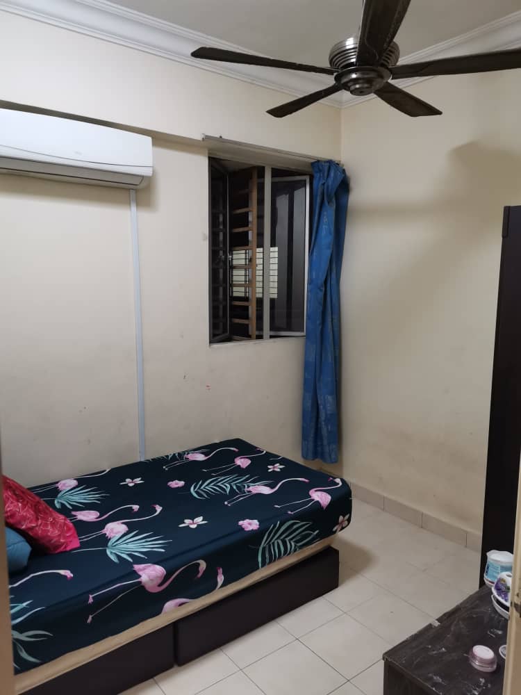 Koi Tropica Puchong - photo 8