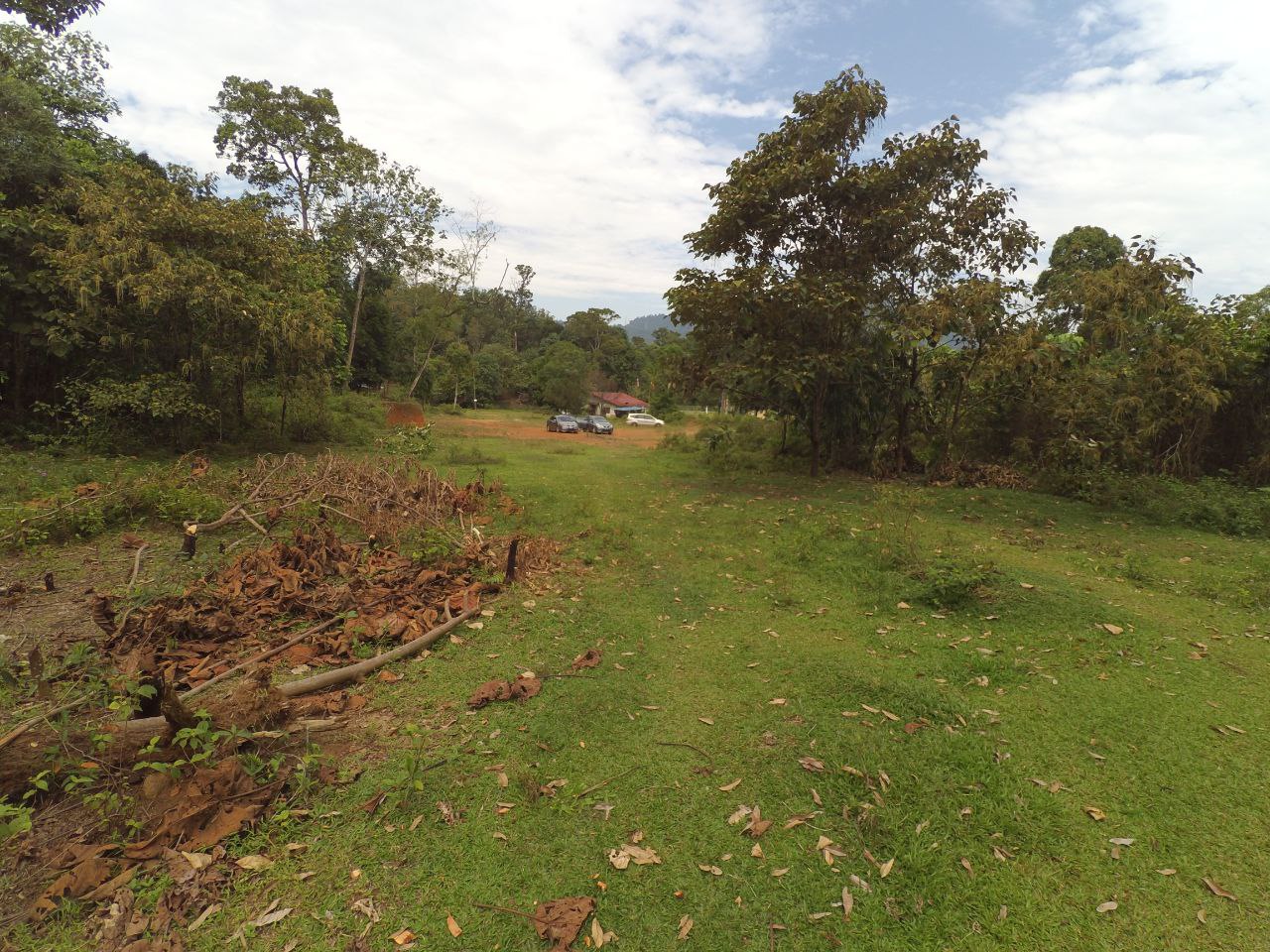 TANAH PERTANIAN, BATU 20 SUNGAI LUI HULU LANGAT - photo 8