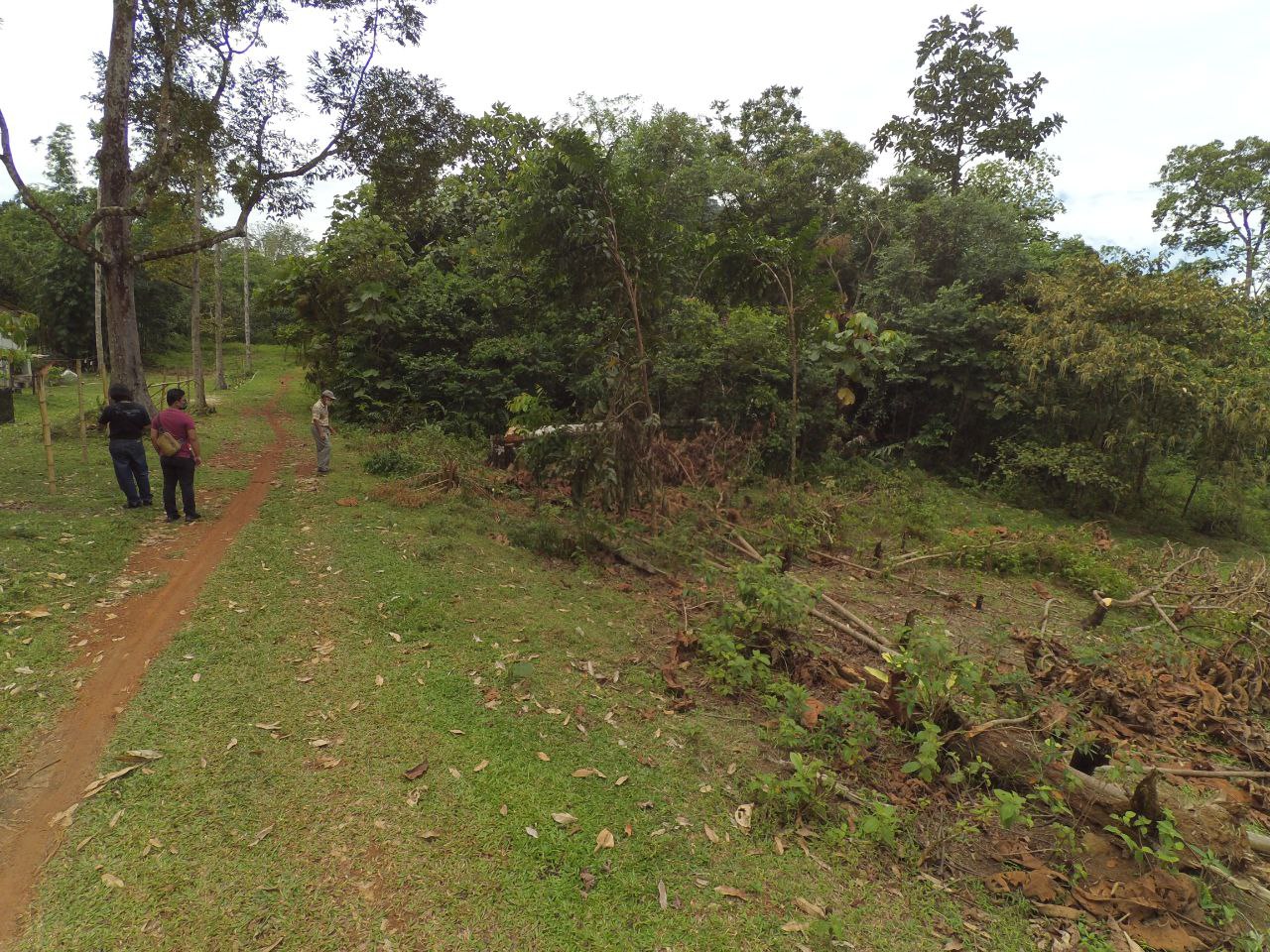 TANAH PERTANIAN, BATU 20 SUNGAI LUI HULU LANGAT - photo 9