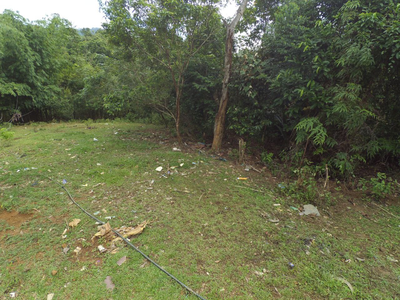 TANAH PERTANIAN, BATU 20 SUNGAI LUI HULU LANGAT - photo 10