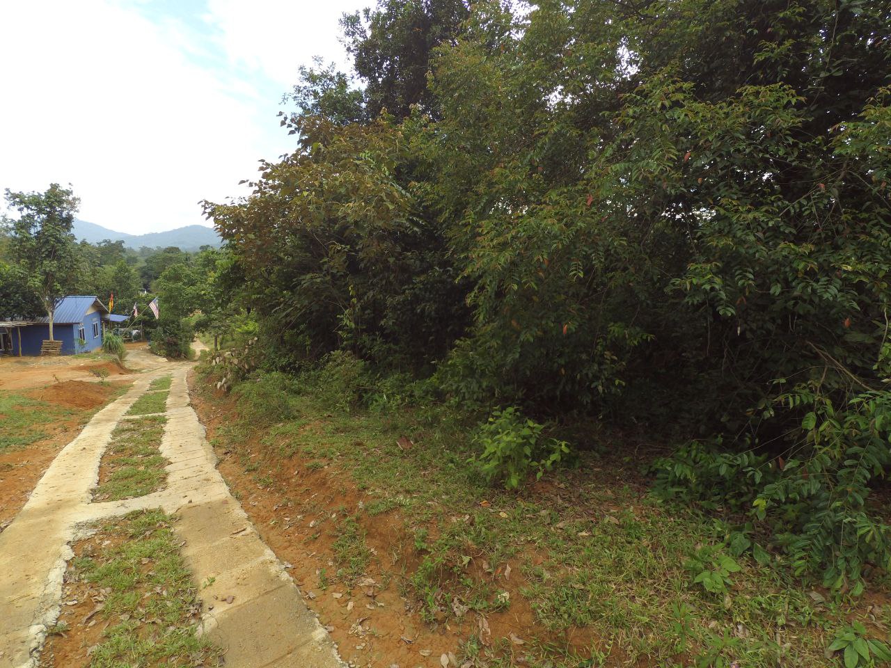 TANAH PERTANIAN, BATU 20 SUNGAI LUI HULU LANGAT - photo 12