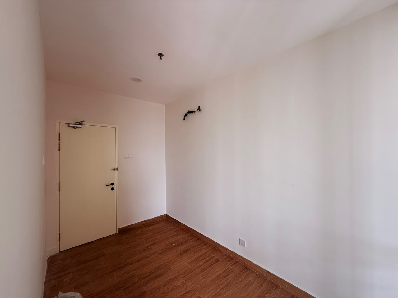 Emerald Avenue - photo 6