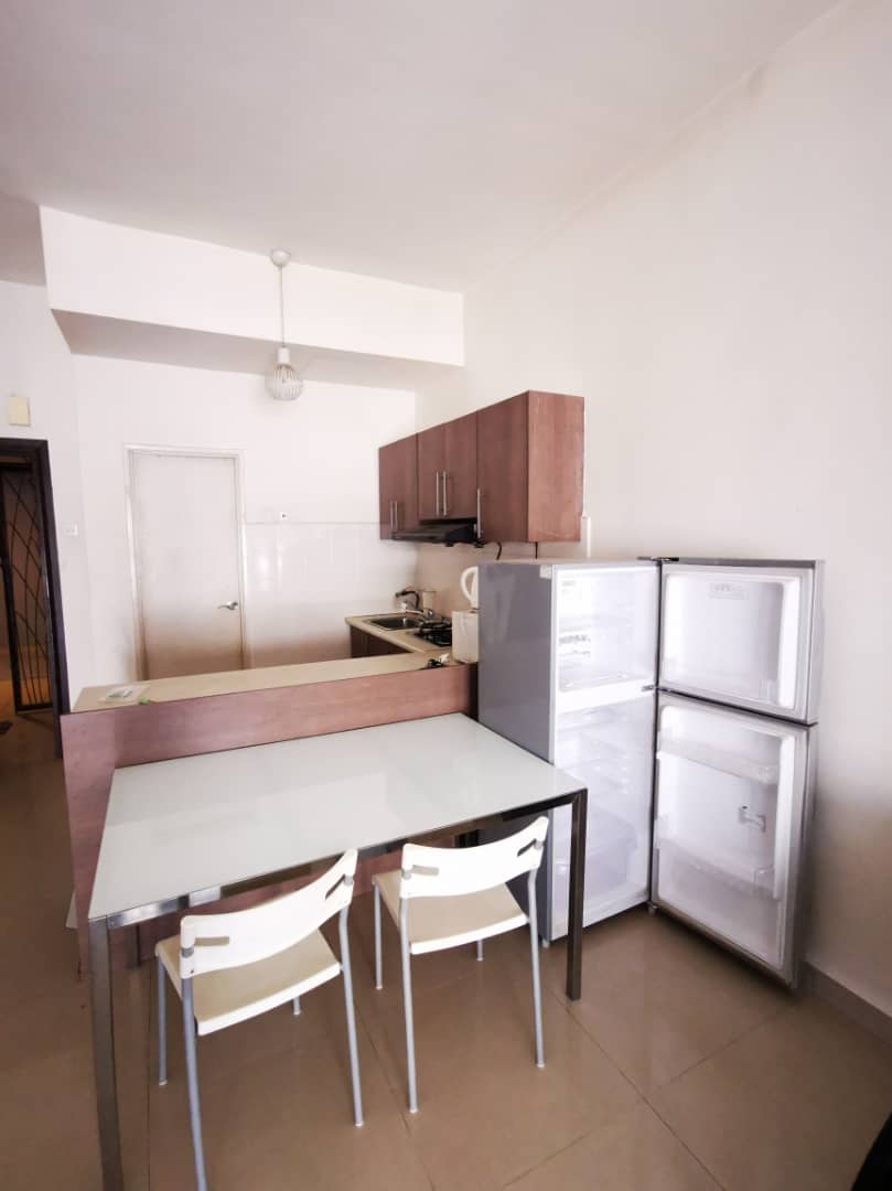 Windsor Tower 640 Sq Ft Studio Fully Furnished - photo 3