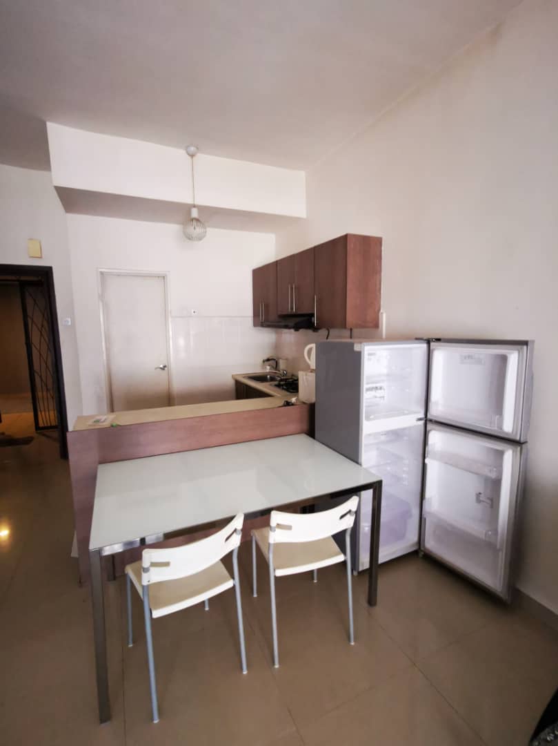 Windsor Tower 640 Sq Ft Studio Fully Furnished - photo 5