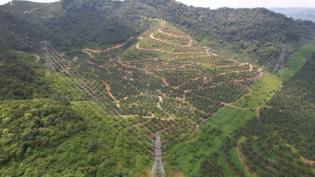 [Below Bank Value] Dangi Mukim Johol Kuala Pilah Negeri Sembilan 136.7 Ekar Ladang Kelapa Sawit Untu