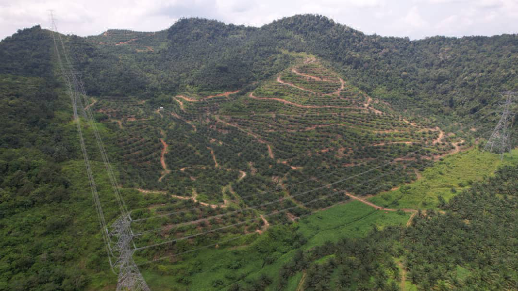 [Below Bank Value] Dangi Mukim Johol Kuala Pilah Negeri Sembilan 136.7 Ekar Ladang Kelapa Sawit Untu - photo 3