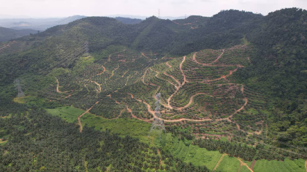 [Below Bank Value] Dangi Mukim Johol Kuala Pilah Negeri Sembilan 136.7 Ekar Ladang Kelapa Sawit Untu - photo 8