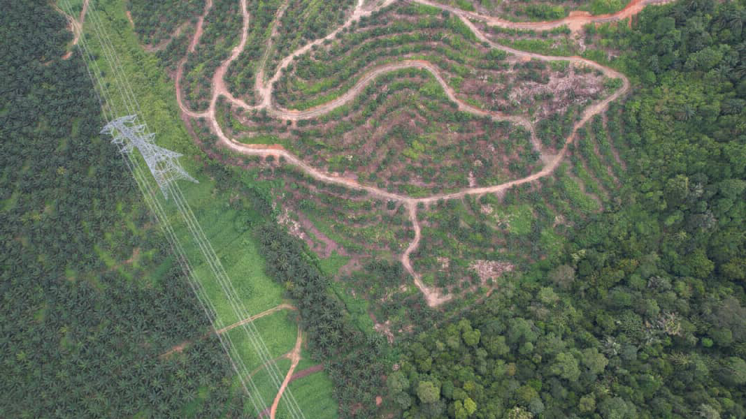 [Below Bank Value] Dangi Mukim Johol Kuala Pilah Negeri Sembilan 136.7 Ekar Ladang Kelapa Sawit Untu - photo 11
