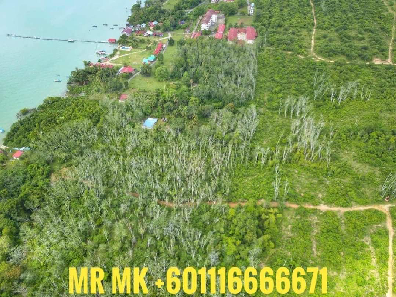 BAGAN NYIOR MUKIM KUAH LANGKAWI TANAH CANTIK FREEHOLD TEPI LAUT UNTUK DI JUAL