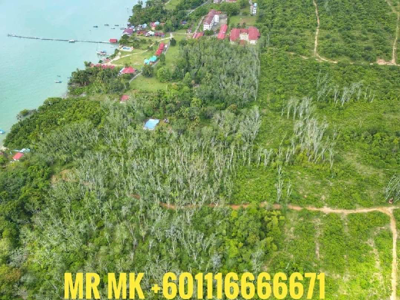 BAGAN NYIOR MUKIM KUAH LANGKAWI TANAH CANTIK FREEHOLD TEPI LAUT UNTUK DI JUAL - photo 3