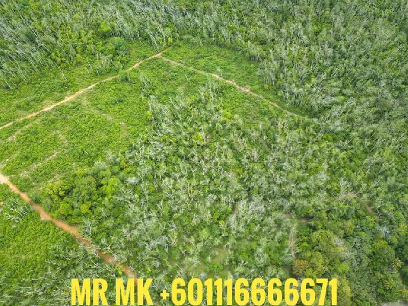 BAGAN NYIOR MUKIM KUAH LANGKAWI TANAH CANTIK FREEHOLD TEPI LAUT UNTUK DI JUAL - photo 4