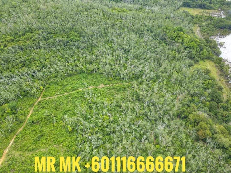 BAGAN NYIOR MUKIM KUAH LANGKAWI TANAH CANTIK FREEHOLD TEPI LAUT UNTUK DI JUAL - photo 8