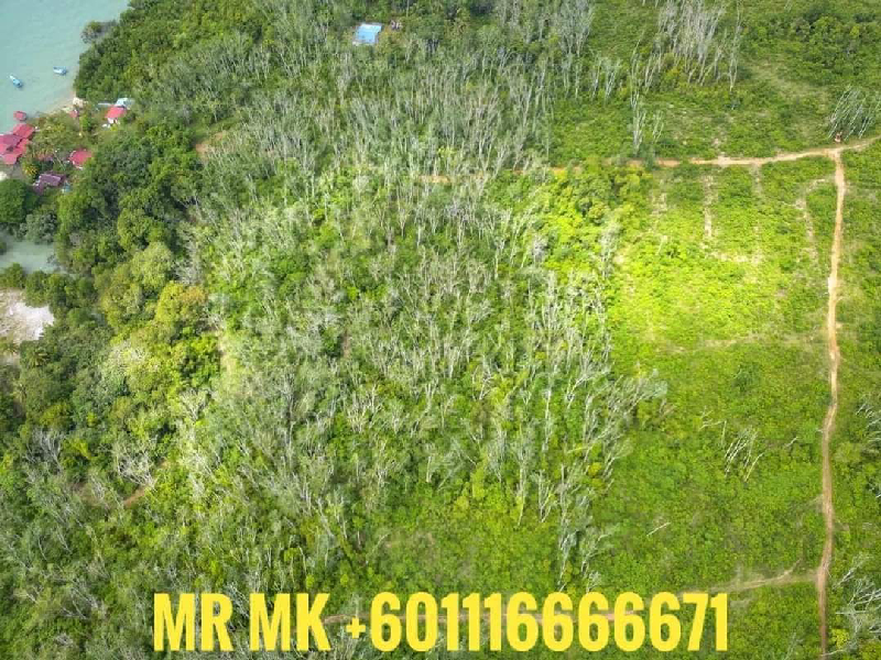 BAGAN NYIOR MUKIM KUAH LANGKAWI TANAH CANTIK FREEHOLD TEPI LAUT UNTUK DI JUAL - photo 11