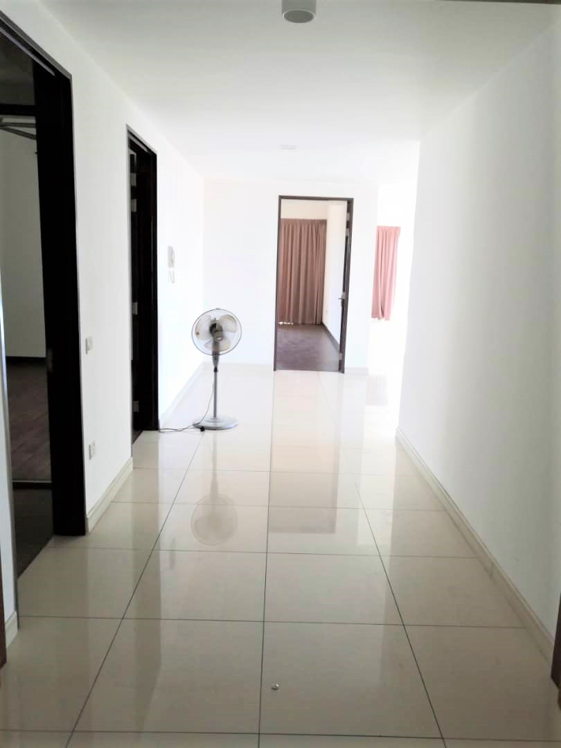 Seringin 2638sf - photo 6