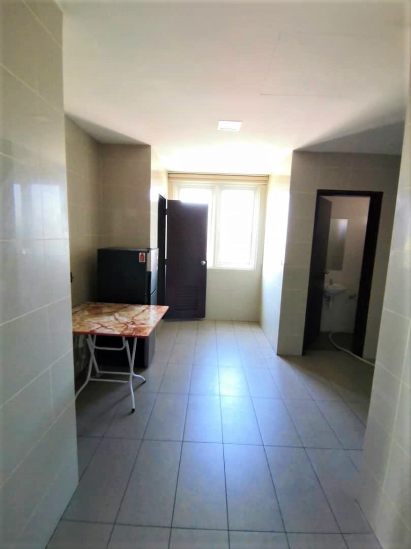 Seringin 2638sf - photo 8