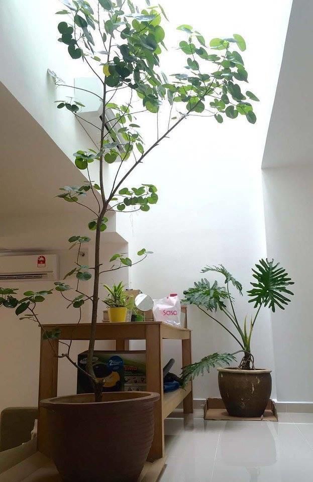 3 Sty Renovated Modern Terrace House Tmn Desa - photo 6