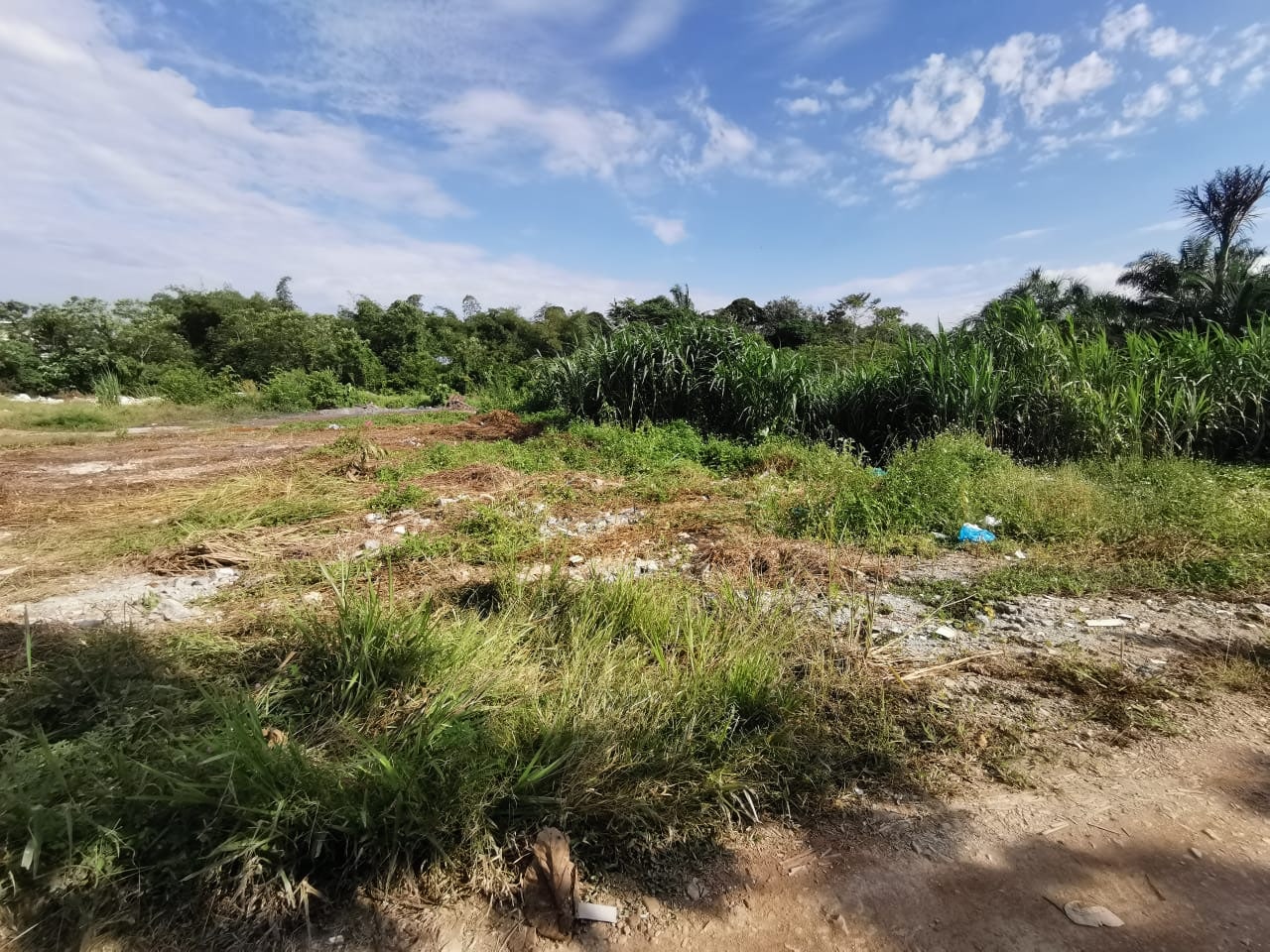LOT TANAH PERTANIAN LABU SEREMBAN - photo 3