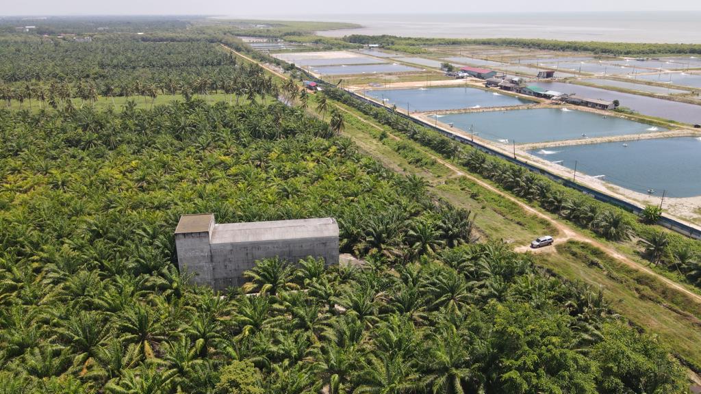 Oil Palm Land Tanjong Karang by Matt - photo 2
