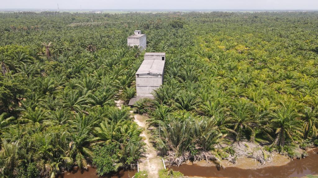 Oil Palm Land Tanjong Karang by Matt - photo 3