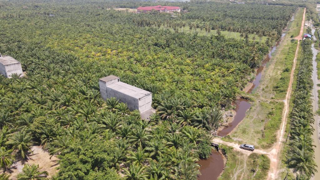 Oil Palm Land Tanjong Karang by Matt - photo 4
